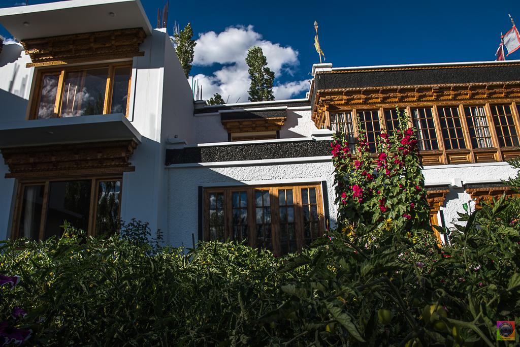 Готель Shaolin Ladakh Лех Екстер'єр фото